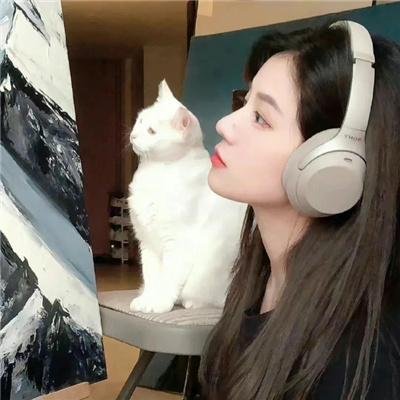 狂卷滚轮情